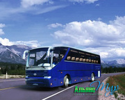 заказ конфортабельных автобусов по Краснодару и Краснодарскому кпаю