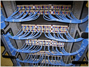 Монтаж и настройка структурированных кабельных сетей. Сервисное обслуж