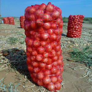 Овощная сетка от производителя кнр