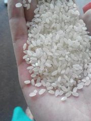 Рис круглозерный оптом от производителя